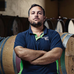 Historia Viticultor - Currantes